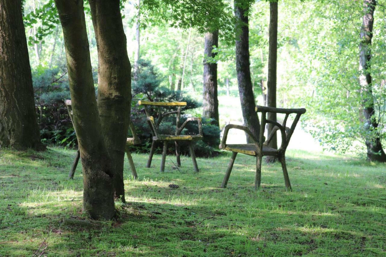 Ferienwohnung Il Girasole Castelletto sopra Ticino Exterior foto